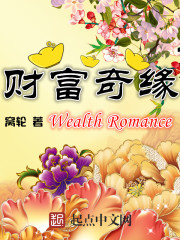 贵妇沉沦