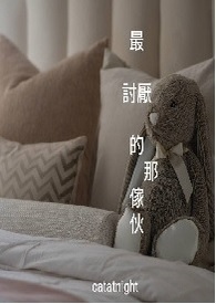 52弹弓网