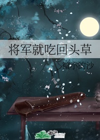 800zy免费资源