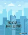 三角木马小说