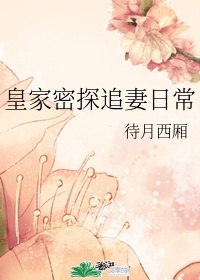 爱情岛网站论坛