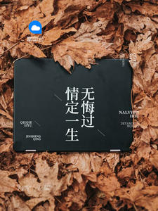 名侦探柯南真人版
