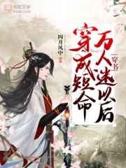 贱妇小说
