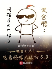 纳妾记2