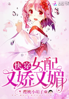 星空在线