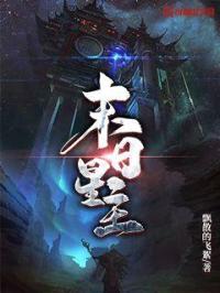 重生铁血战将