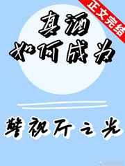 针锋对决txt下载