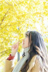 色情婷婷