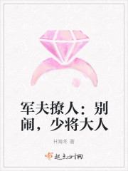 妙探双龙