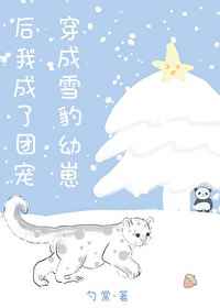 重生之侯府贵妻有声小说