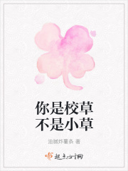 动漫18视频在线观看