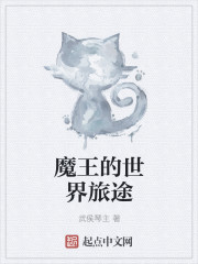 喜羊羊与灰太狼之飞马奇遇记