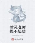 天价宠妻漫画免费看