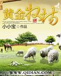 深度诱入 欲晓 小说