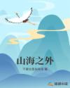 黑帮老大我的365天第一部是什么