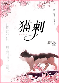 武侠古典时间控制器