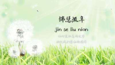 ipz127中文迅雷下载