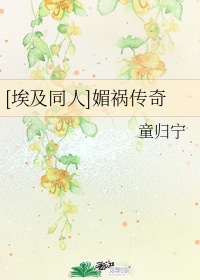 康熙王朝电视剧免费播放全集