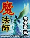 朗朗妻子