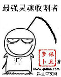 我的军中情人2