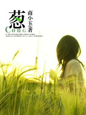 国产经典三电视剧有