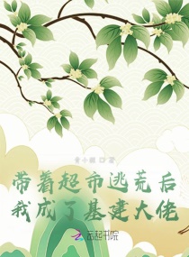 盗亦有道电影