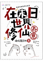 后宫露营无删减