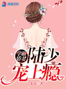我的美艳嫂子