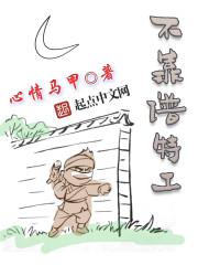 大红灯笼高高挂电视剧