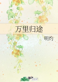新金瓶梅电影