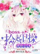 彩虹网