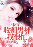 知否txt下载