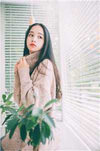 花火电视剧西瓜视频免费观看
