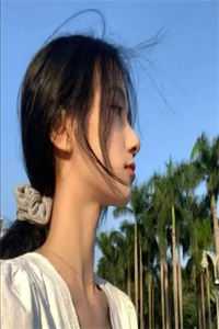 摸逼小说