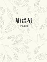 出差上的少妇20p
