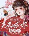 我的妻子的姐姐3