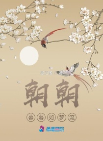丶类似符号