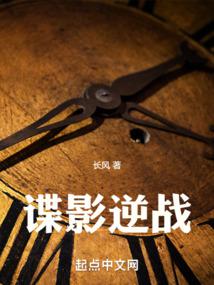 灰毛衣电影高清在线播放