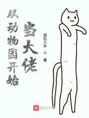 色戒视频网入口