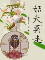 西北锤王电视剧免费观看