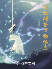 旅行者与魔法师