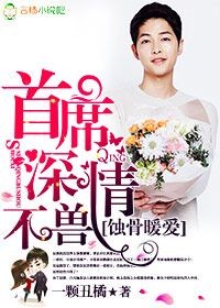 驾校情缘全文免费读