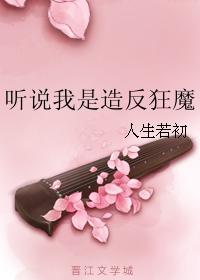 金瓶风月视频