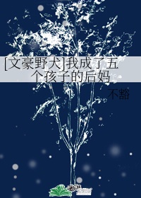 熊欲小说全集在线阅读