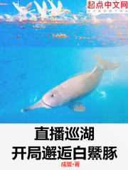 一楼一凤txt