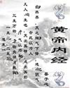 av番号大全