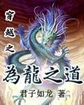 无限动漫在线看免费高清视频