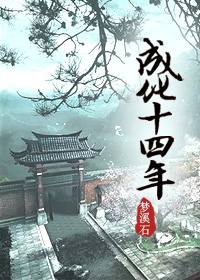 神偷家族