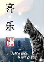 情感的禁区1080