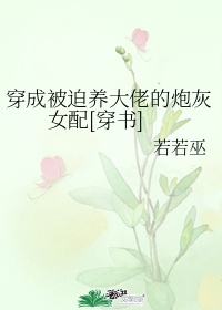 三生三世枕上书txt百度云